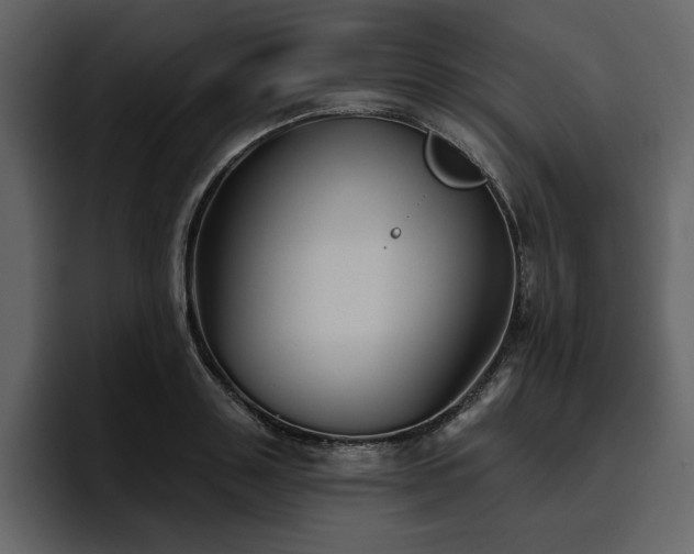 X0000095930843200801111253