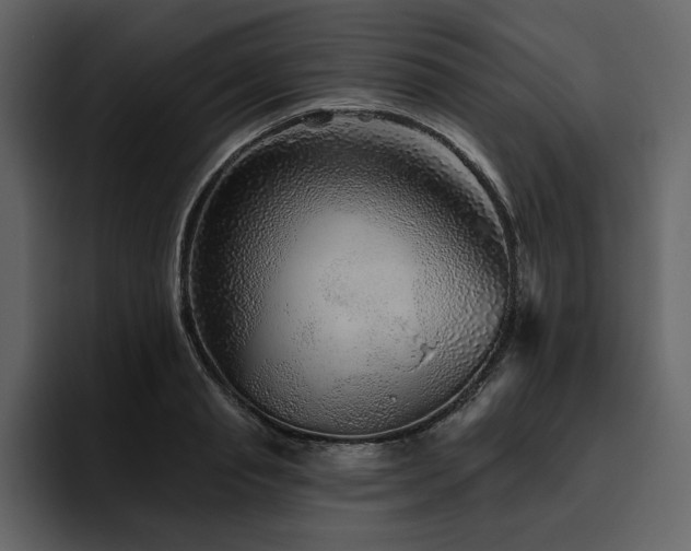 X0000095930845200801111253