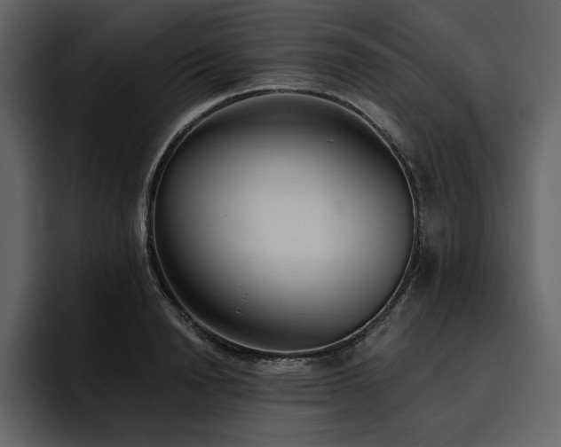 X0000095930846200801111253