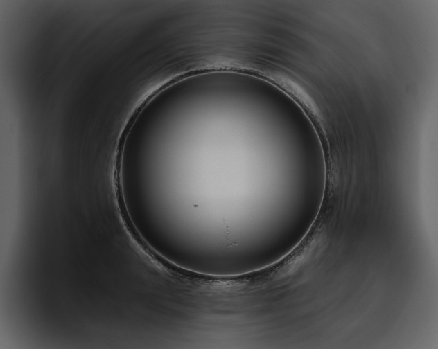 X0000095930847200801111253