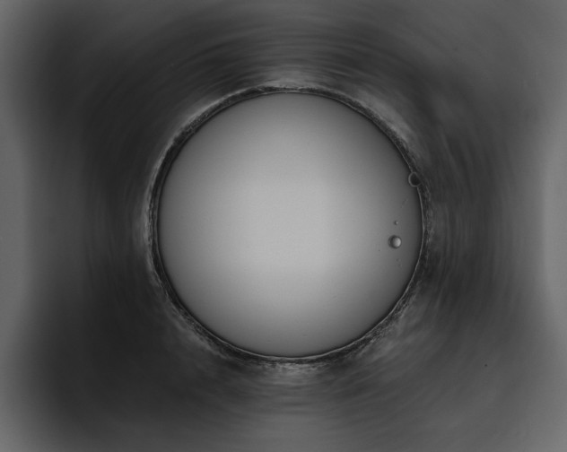 X0000095930848200801111253