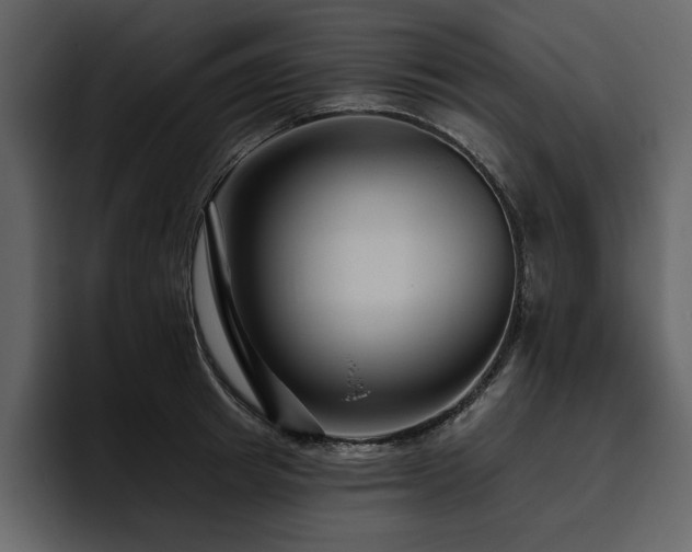 X0000095930849200801111253