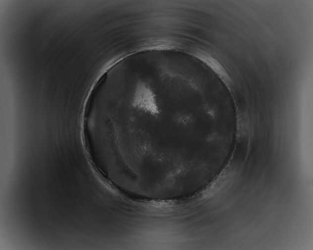X0000095930850200801111253