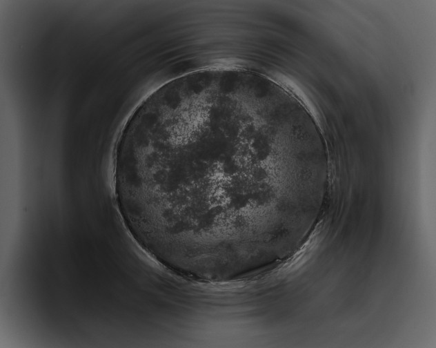 X0000095930851200801111253