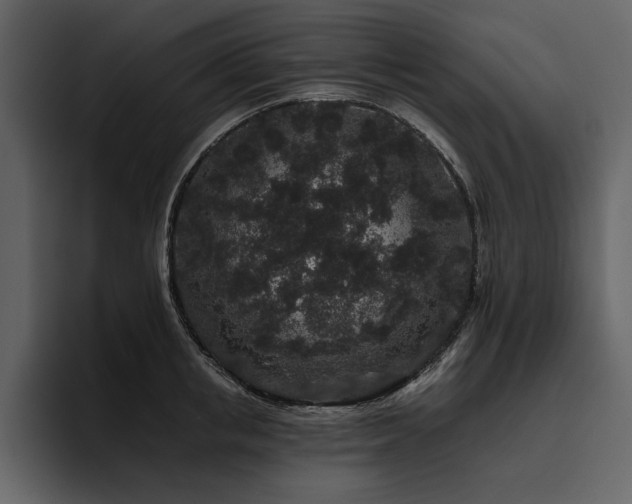X0000095930853200801111253