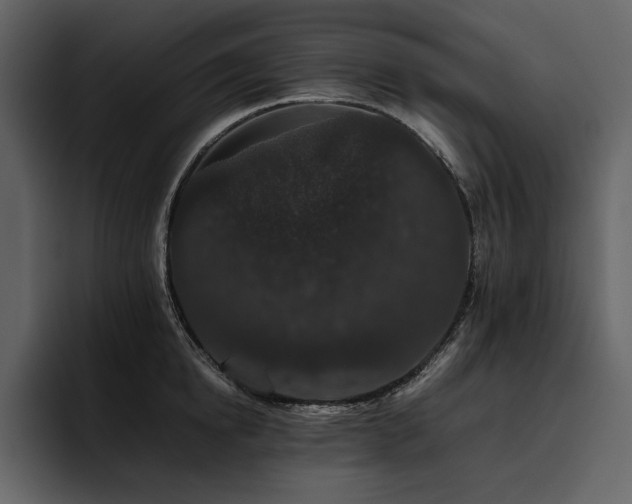X0000095930854200801111253