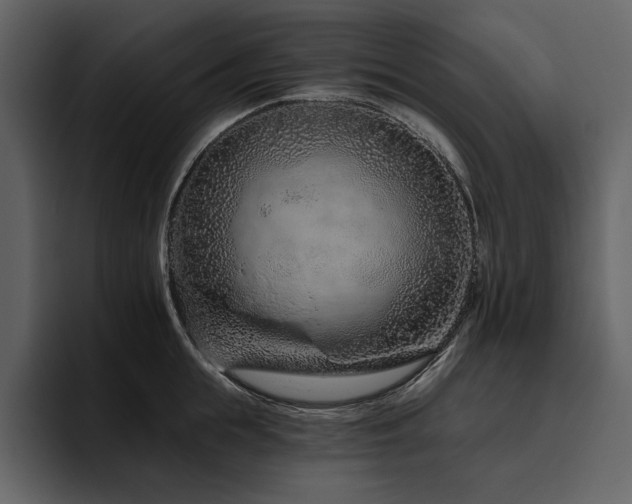 X0000095930855200801111253