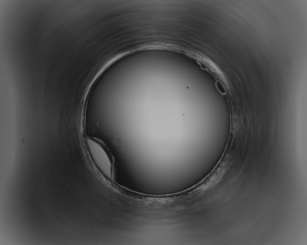 X0000095930860200801111254