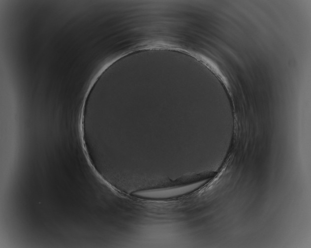X0000095930863200801111254