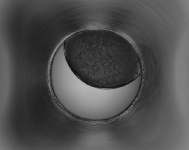 X0000095930864200801111254