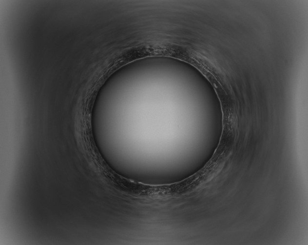 X0000095930865200801111253