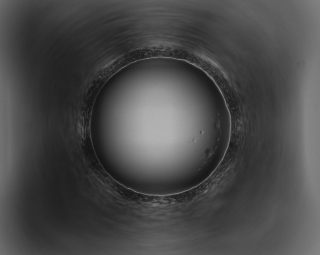 X0000095930869200801111253