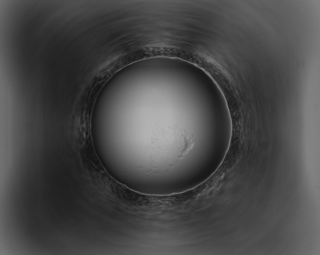 X0000095930870200801111253