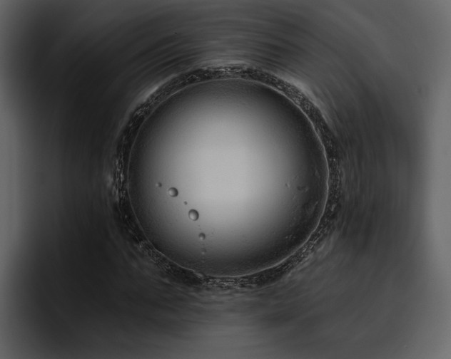 X0000095930871200801111253