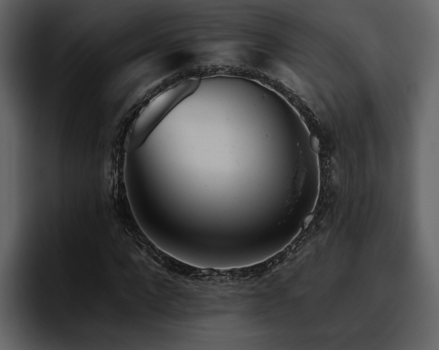 X0000095930872200801111253