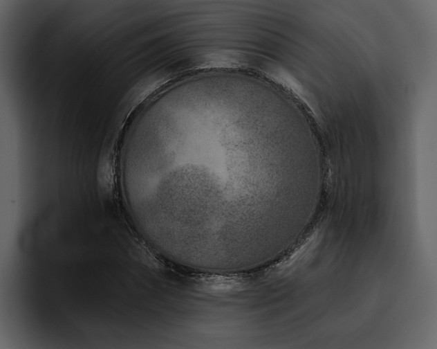 X0000095930874200801111253