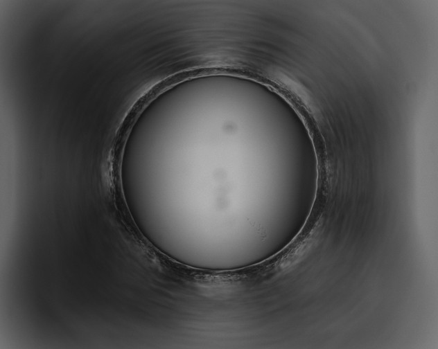 X0000095930875200801111253