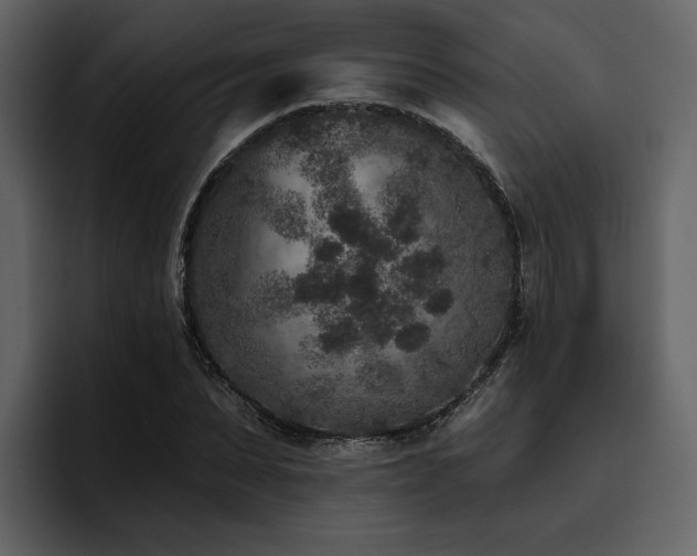 X0000095930879200801111253