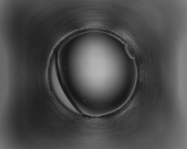 X0000095930880200801111253