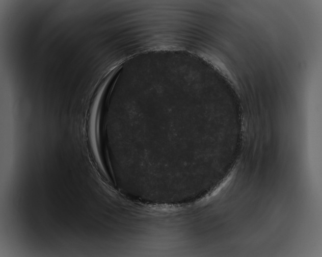 X0000095930881200801111253