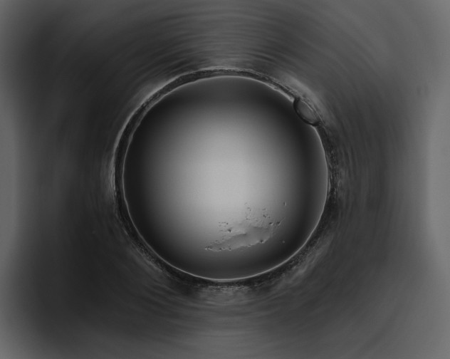 X0000095930884200801111253