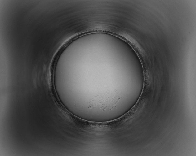 X0000095930886200801111253