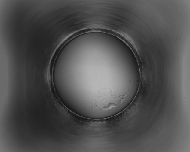 X0000095930887200801111253