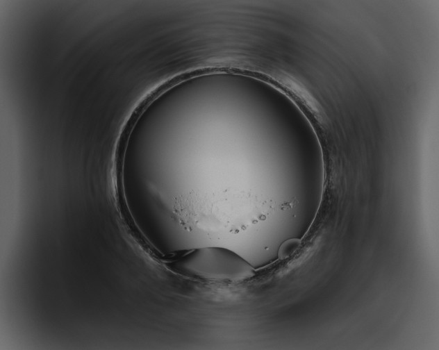 X0000095930888200801111253