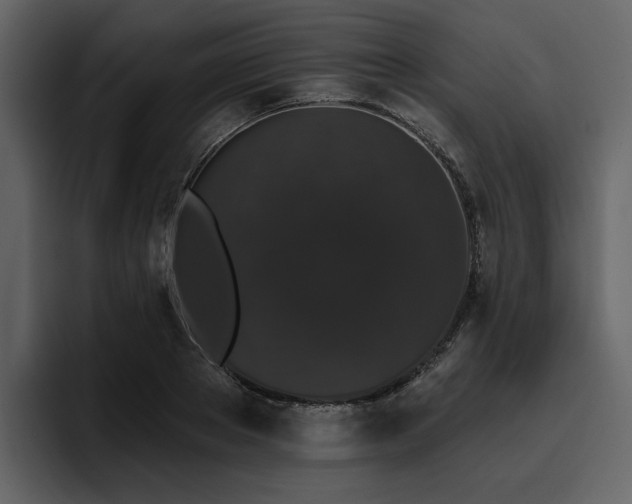 X0000095930889200801111253