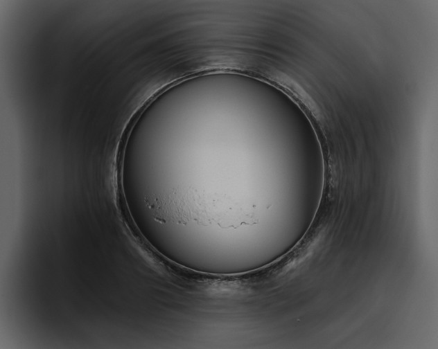 X0000095930890200801111253