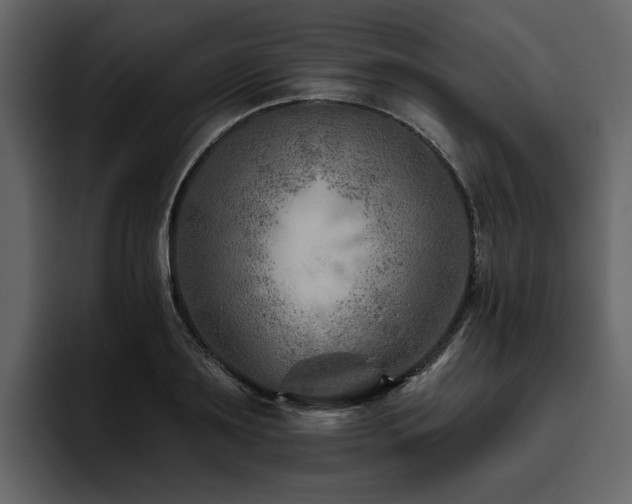 X0000095930891200801111253