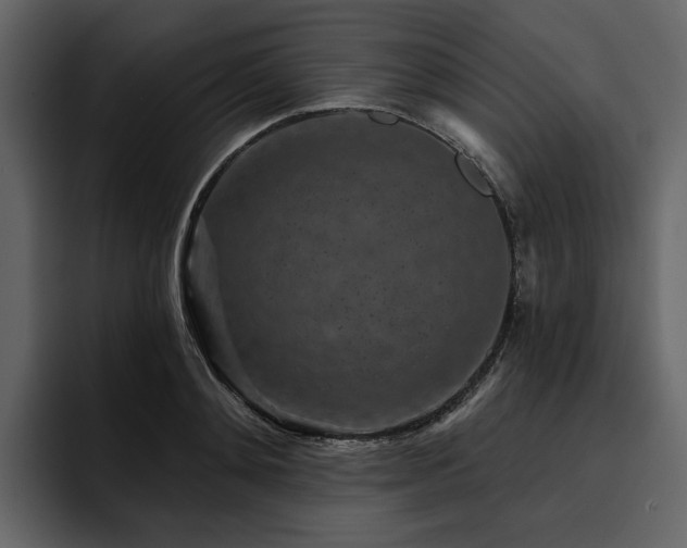 X0000095930892200801111253