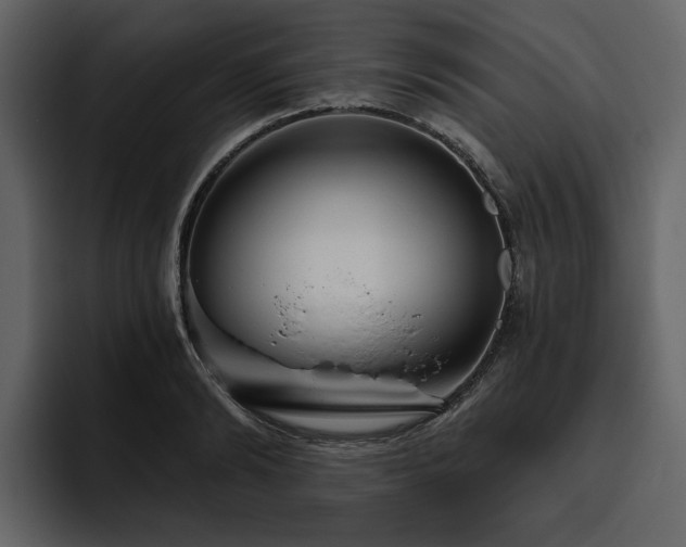 X0000095930894200801111253
