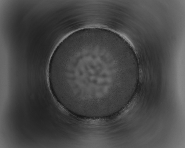 X0000095930895200801111253
