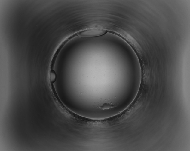 X0000095930896200801111253