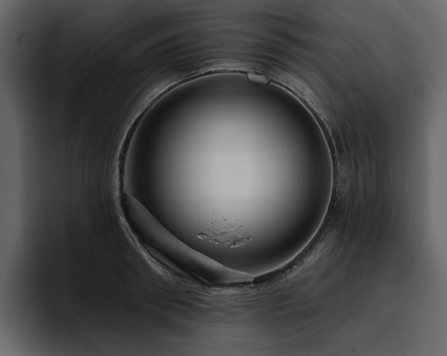 X0000095930898200801111253