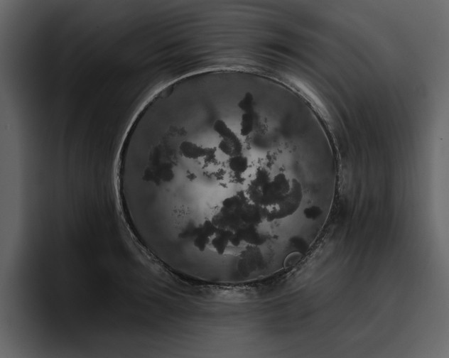 X0000095930899200801111253