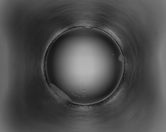 X0000095930901200801111253