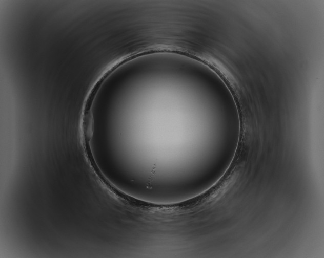 X0000095930902200801111253