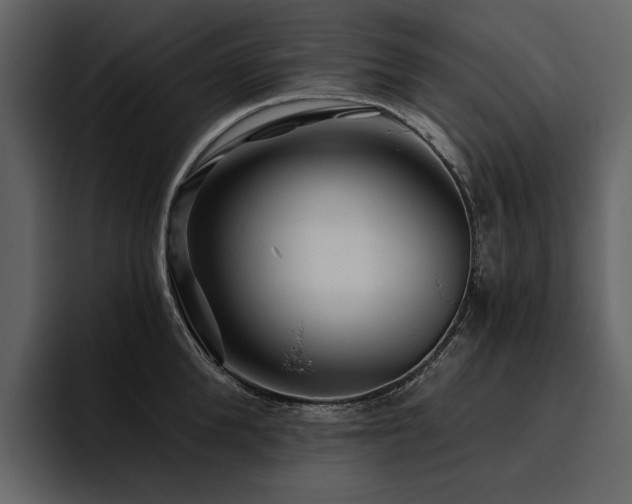 X0000095930904200801111252
