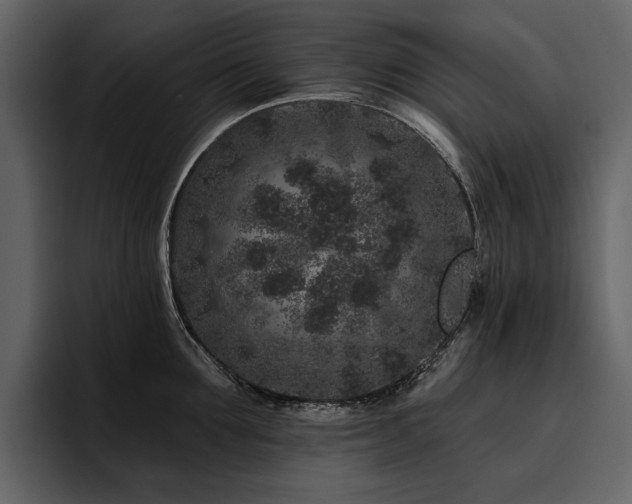 X0000095930907200801111252