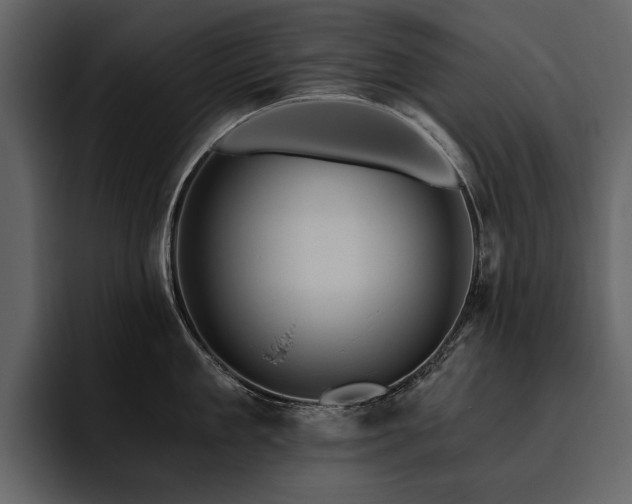 X0000095930909200801111252