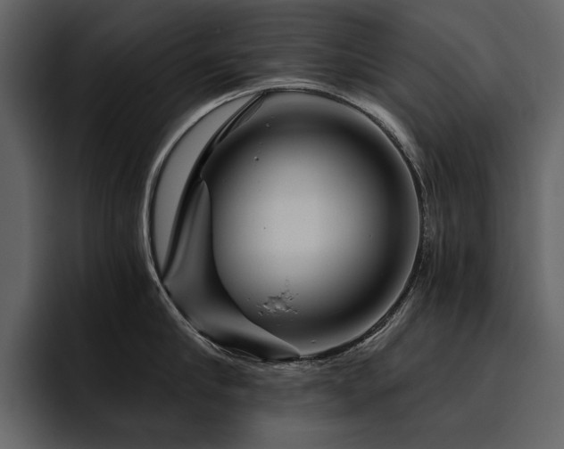 X0000095930910200801111252