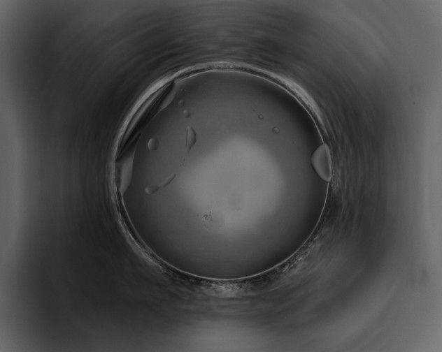 X0000095930911200801111252