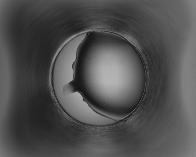 X0000095930912200801111252