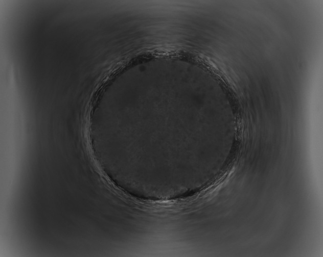 X0000095930913200801111252