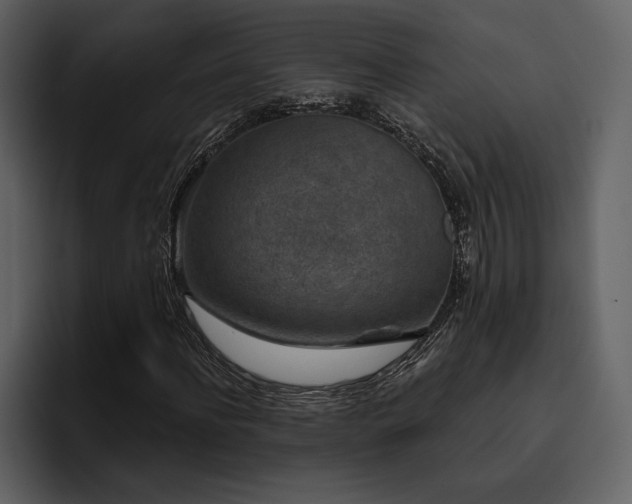 X0000095930916200801111252