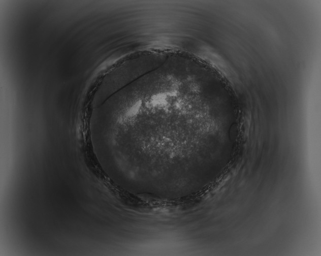 X0000095930920200801111252