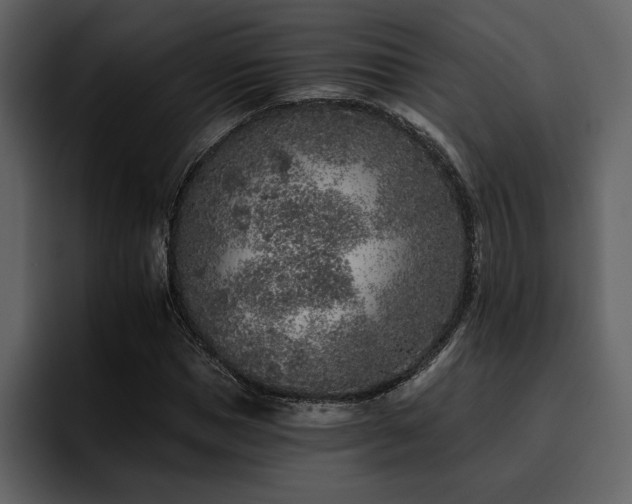 X0000095930921200801111252