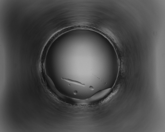X0000095930924200801111252